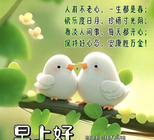 你好早安图片,你好早安，美好一天从心开始”